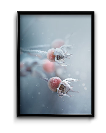 Plakat Przyroda Zimą No.1, Bury Lis