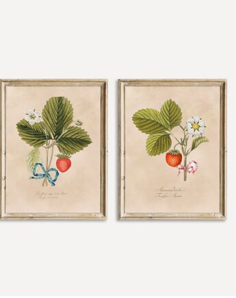 DWA PLAKATY truskawki galeria botaniczne owoce, black dot studio