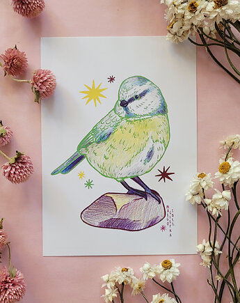 Modraszka pocztówka/miniprint A6, zazula