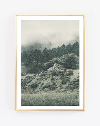forest fog fotografia plakat, wejustlikeprints