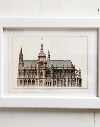 Amator architektury, Galeria Belladonna