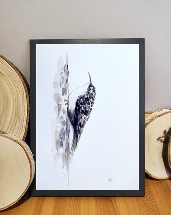 Akwarela pełzacz, Wiktoria Borys Art