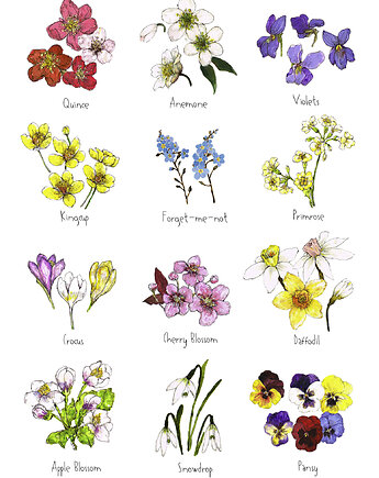 Wiosenne kwiaty - grafika na ścianę- ilustracja- kwiaty, BOSKE