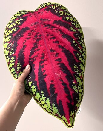 Poduszka Liść Koleus Coleus, poduszkownia