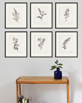 Zestaw Grafik Botanicznych Vintage, Victorian wall art