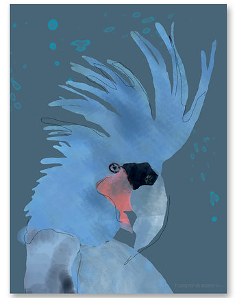 Plakat dziecięcy   Blue Parrot, HUMPTY DUMPTY ROOM DECORATION
