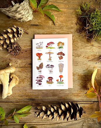 Grzyby- Kartka- Grafika- Ilustracja- Las, BOSKE