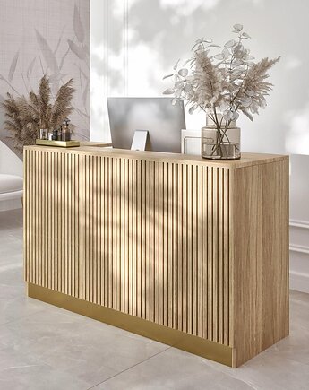 Asher lada recepcyjna do salonu beauty, Papierówka Simple form of furniture