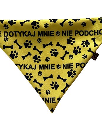 Żółta bandana dla psa Nie dotykaj!, Psia szafa