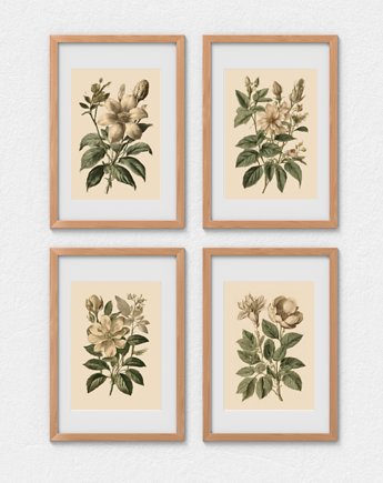 PLAKATY DO KUCHNI zioła botaniczne vintage, black dot studio