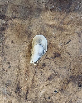 Wisior Traveller, Sea Smugglers