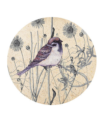 Wróbel mazurek- ilustracja- grafika- ptaki, BOSKE