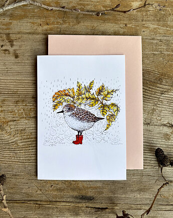 Ptaszek w butach- Biegus- Kartka- Grafika- Ilustracja- Ptaki, BOSKE