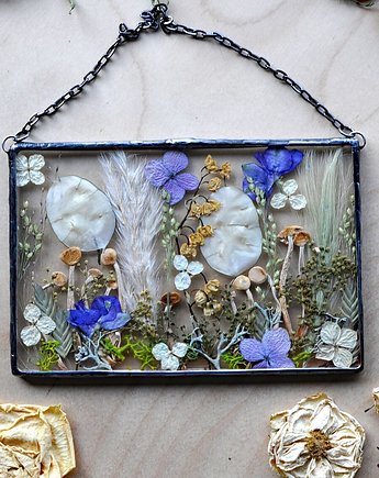 Las i Grzybki, MARIAELA