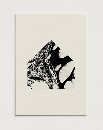 Home / Oryginalna grafika / poster print / Gicle, Alina Rybacka