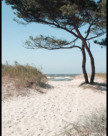 Plakat "Piaszczysta ścieżka na plażę", Fotobloki and decor
