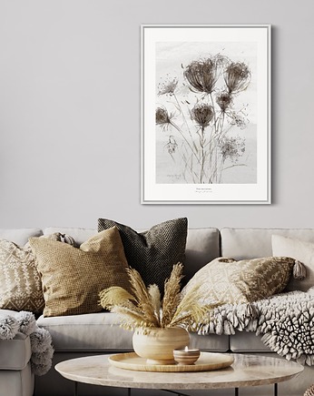 Plakat Dzika marchew / Fine Art Print, Margo Hupert