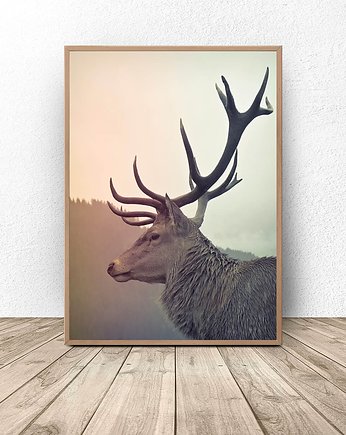Plakat z pięknym jeleniem 50x70 (500mm x 700 mm), scandiposter