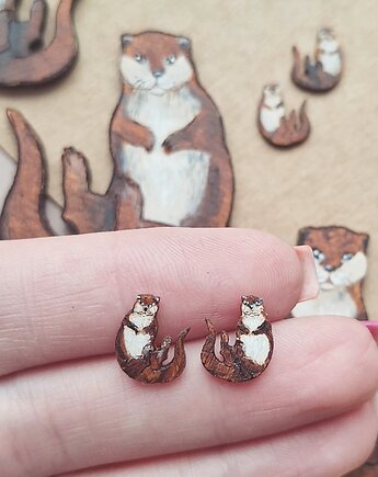 Wydry malowane, DWUKROOPEK