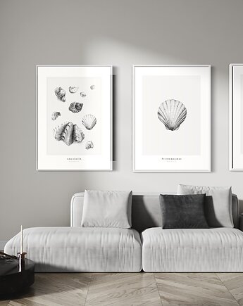Plakat Muszle - Komplet 3 wydruków, Margo Hupert