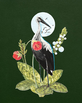 Plakat "Bocian", Ewa Pasternak