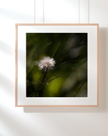 Fotografia autorska z cyklu "Zwyczajność", mamam