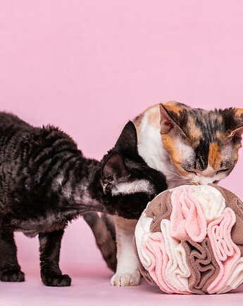 Kula węchowa, Smakula na przysmaki dla psa i kota MAGNOLIA, THE MISS CAT