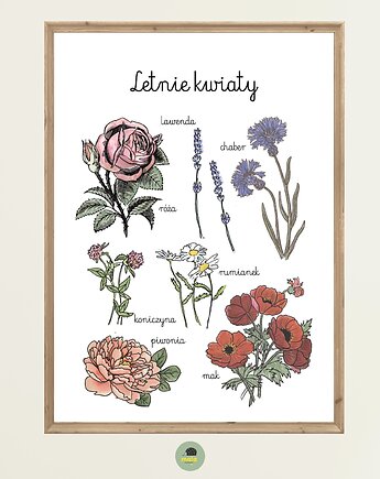Plakat Letnie Kwiaty Montessori dla dzieci, Maja Montessori
