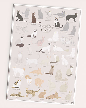 Plakat The Worlds of Cats, PAKOWANIE PREZENTÓW - pudełko na prezent