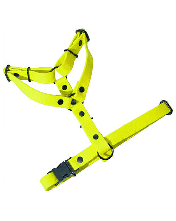 Szelki guard regulowane dla psa wodoodoporne ŻÓŁTE taśma 2cm M, Kolorowe Łapki