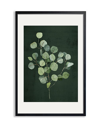 PLAKAT (poster) ROSLINKA EUKALIPTUS, LUdesign gallery