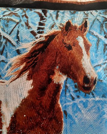 Koń w zimowej odsłonie... #4, Gazynia