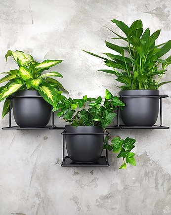 Kwietnik Dżungla 5 czarny, Domowe kwietniki