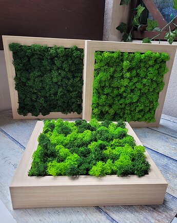Obrazki z mchem chrobotkiem, Florals&Moss