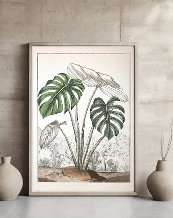 Plakat botaniczny, ArchiBotanica