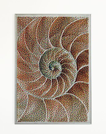 Muszla - przestrzenny panel barwny, 3dArtech