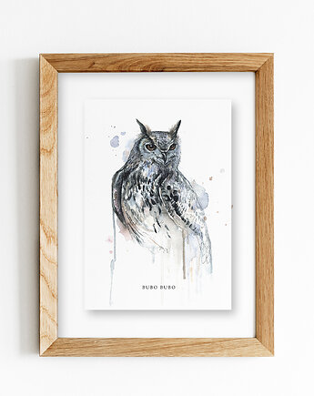 Puchacz, A4, JUST ILUST Justyna Małczak