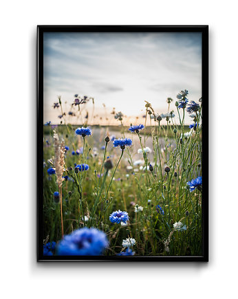 Chabry -  plakat, Bury Lis