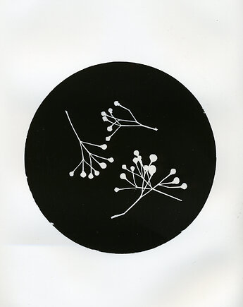 We Czworo, PAPER AND LIGHT