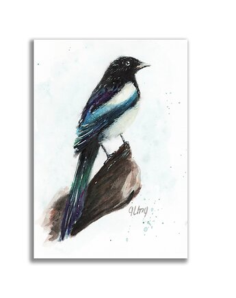 Akwarela ręcznie malowana "Sroka", Galeria Alma