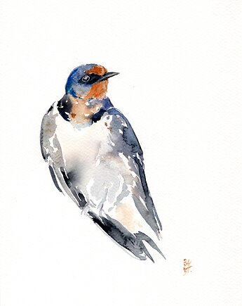 Oryginalna akwarela. Jaskółka, alquadro