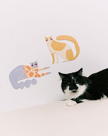 Plakat Rolls the cat - dekoracja ścienna, Milin