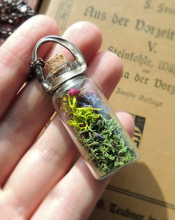 BUTELECZKA SKARBÓW - Roślinne terarium