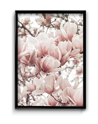 Plakat Magnolia, ZAMIŁOWANIA - Prezent marzeń
