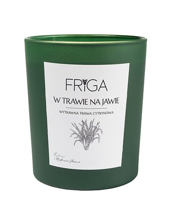 W Trawie na Jawie, FRIGA