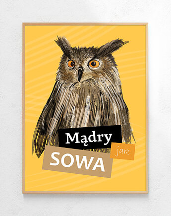 Plakat Mądry/a jak sowa, Czamarska grafika