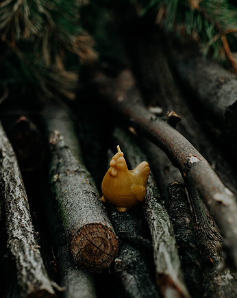 Świeca woskowa kokoszka (7,5 cm), Wcinaj miód
