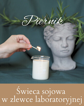 Zapachowa świeca sojowa w zlewce laboratoryjnej - Piernik, pine art
