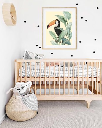 PLAKAT botaniczny, grafika, tukan, ilustracja, black dot studio