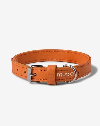 Obroża skórzana Musso Vivo Arancia, MUSSO